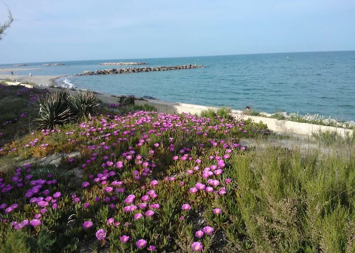 Barcaresa-magnifique Argonautes Appartamento Le Barcarès
