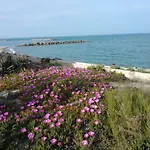 Barcaresa-magnifique Argonautes Apartmán Le Barcarès