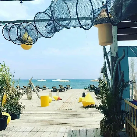 Barcaresa-magnifique Argonautes *